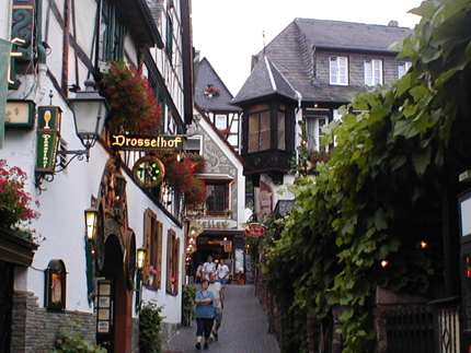 Mooie stadjes langs de Rijn